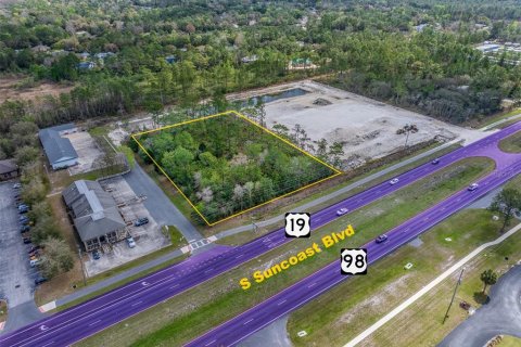 Terreno en venta en Homosassa, Florida № 1511184 - foto 3