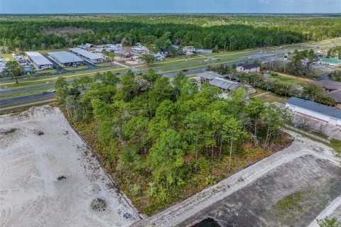 Terreno en venta en Homosassa, Florida № 1511184 - foto 9