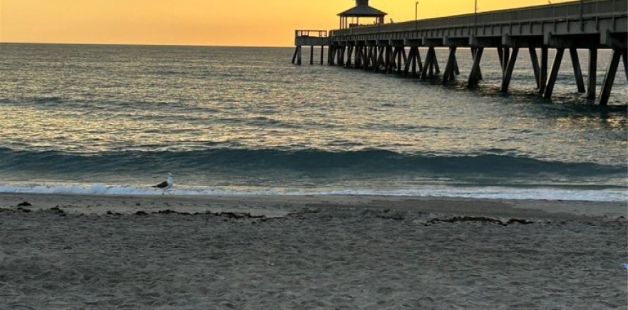Townhouse in Deerfield Beach, Florida 3 bedrooms, 104.24 sq.m. № 1060332