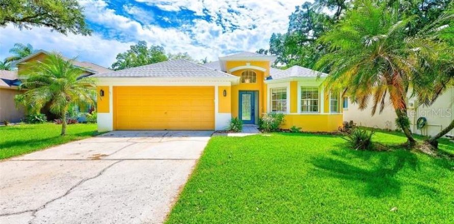 House in Tampa, Florida 4 bedrooms, 170.1 sq.m. № 1877463