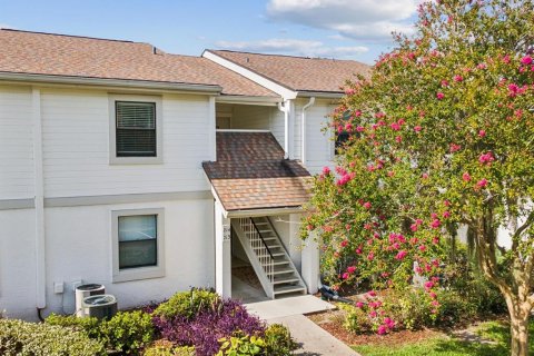Condo in Oldsmar, Florida, 2 bedrooms  № 1793964 - photo 1