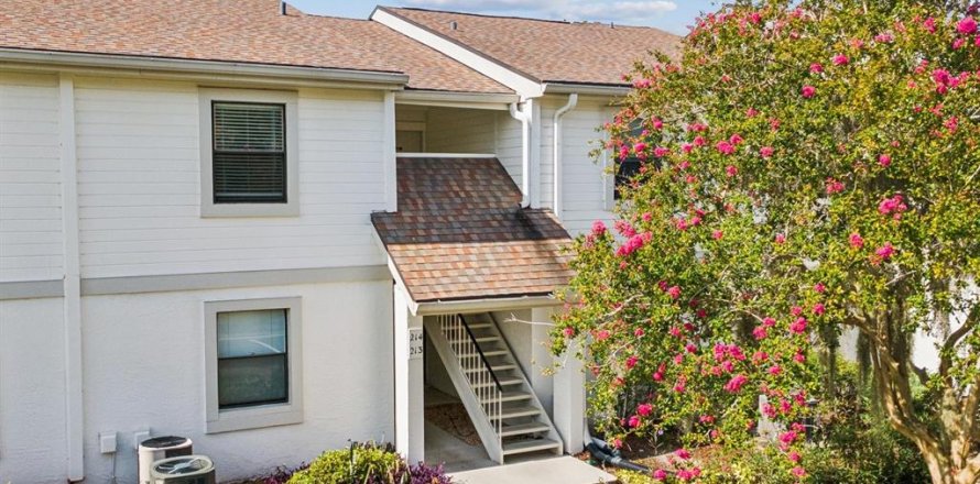 Condo in Oldsmar, Florida, 2 bedrooms  № 1793964