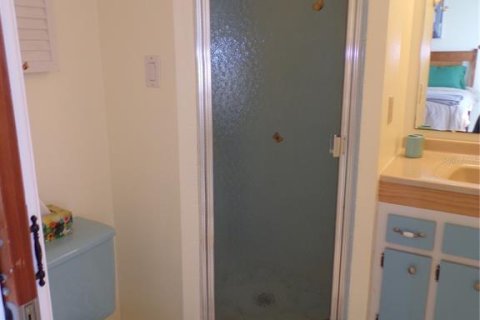 Casa en alquiler en Port Charlotte, Florida, 2 dormitorios, 107.4 m2 № 1812523 - foto 27