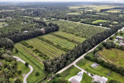 Land in Fellsmere, Florida № 1051251 - photo 1