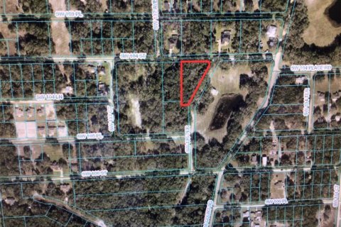 Land in Dunnellon, Florida № 1724470 - photo 2