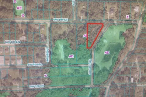 Land in Dunnellon, Florida № 1724470 - photo 3