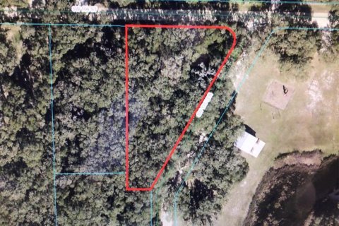Land in Dunnellon, Florida № 1724470 - photo 1