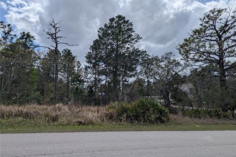 Land in Weeki Wachee, Florida № 2212686 - photo 5