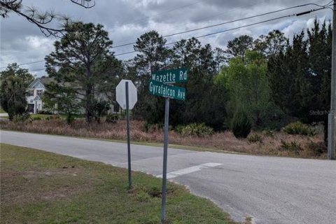 Land in Weeki Wachee, Florida № 2212686 - photo 2