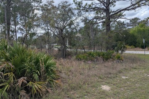 Land in Weeki Wachee, Florida № 2212686 - photo 3