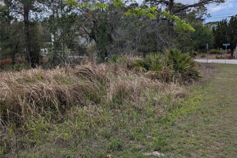 Land in Weeki Wachee, Florida № 2212686 - photo 6