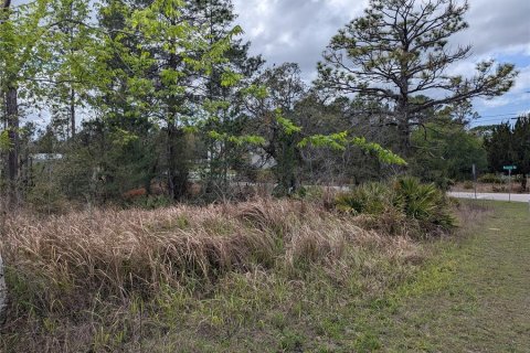 Land in Weeki Wachee, Florida № 2212686 - photo 7