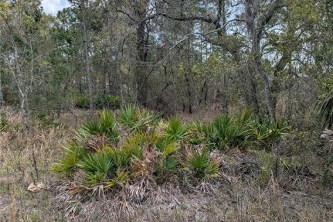 Land in Weeki Wachee, Florida № 2212686 - photo 4