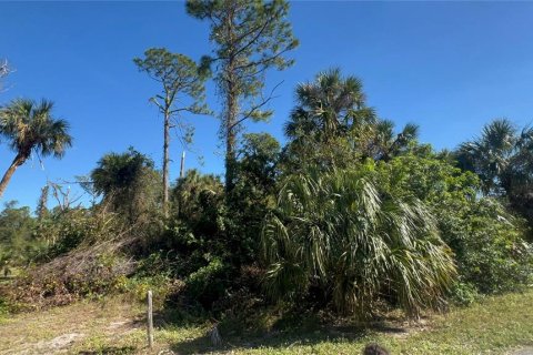 Land in North Port, Florida № 2104344 - photo 4