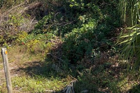 Land in North Port, Florida № 2104344