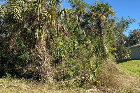 Land in North Port, Florida № 2104344 - photo 3