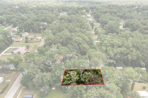 Land in Inverness, Florida № 2158682 - photo 3