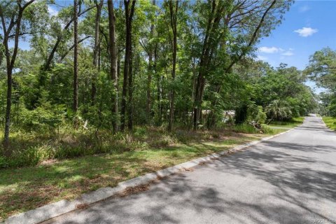 Land in Inverness, Florida № 2158682