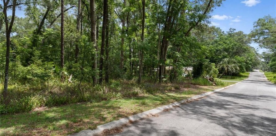 Land in Inverness, Florida № 2158682