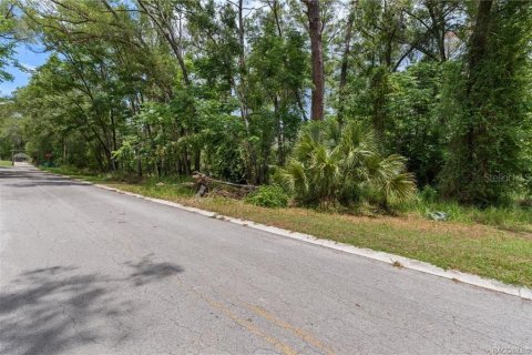 Land in Inverness, Florida № 2158682 - photo 2