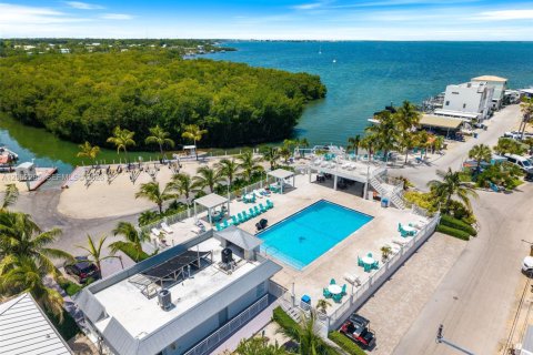 Land in Key Largo, Florida № 2265907 - photo 8