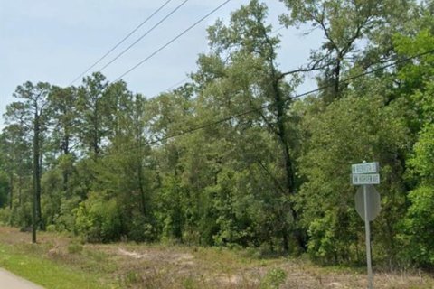 Terrain à Dunnellon, Floride № 2207555