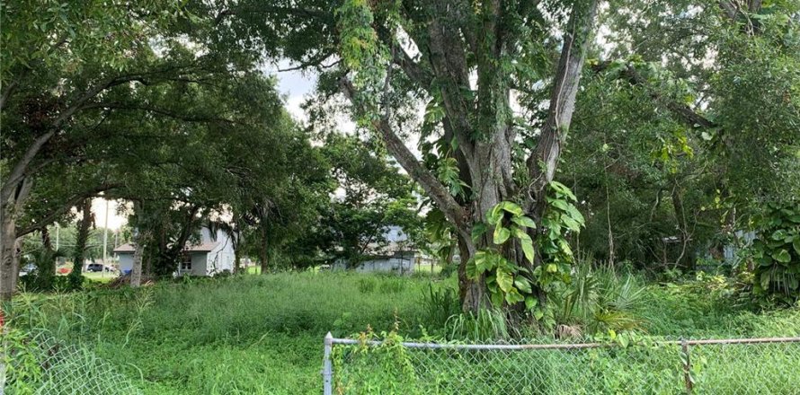 Land in Tampa, Florida № 1804090