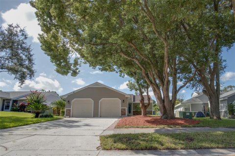 Villa ou maison à vendre à Palm Harbor, Floride: 1 chambre, 61.32 m2 № 1902748 - photo 2