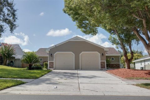 Villa ou maison à vendre à Palm Harbor, Floride: 1 chambre, 61.32 m2 № 1902748 - photo 1