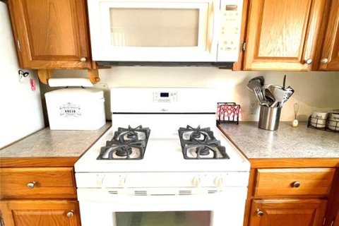 Apartamento en alquiler en Bradenton, Florida, 2 dormitorios, 62.43 m2 № 1918973 - foto 13
