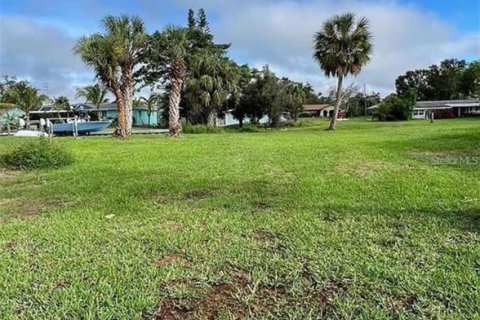 Terrain à vendre à Punta Gorda, Floride № 1900571 - photo 7