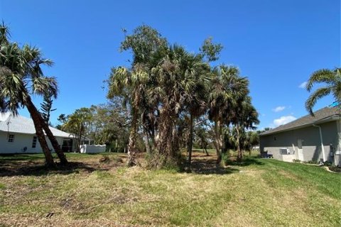 Land in Rotonda, Florida № 503274 - photo 4