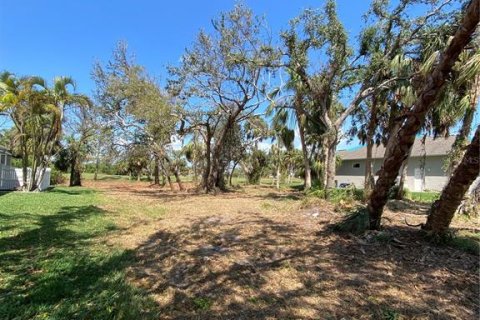 Land in Rotonda, Florida № 503274 - photo 2