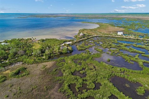 Land in Weeki Wachee, Florida № 2216662 - photo 17