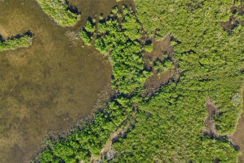 Land in Weeki Wachee, Florida № 2216662 - photo 12