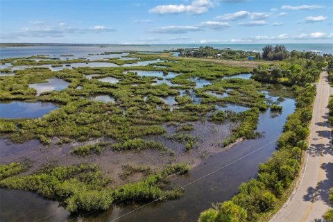 Land in Weeki Wachee, Florida № 2216662 - photo 5