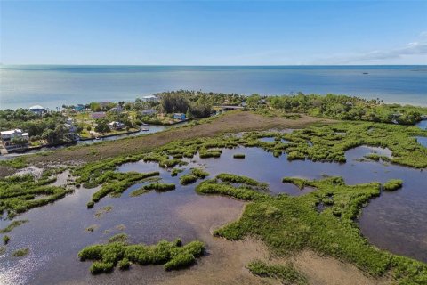 Land in Weeki Wachee, Florida № 2216662 - photo 15