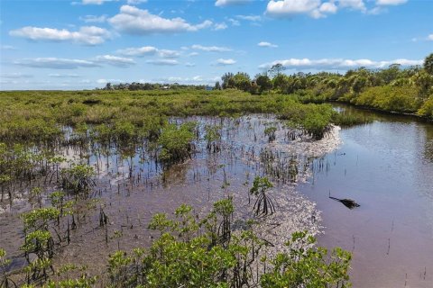Land in Weeki Wachee, Florida № 2216662 - photo 8