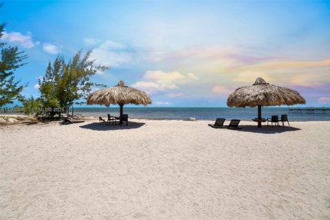 Terreno en venta en Big Pine Key, Florida № 2025055 - foto 8