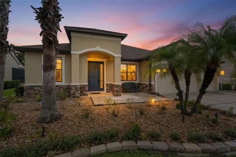 House in Tampa, Florida 4 bedrooms, 232.35 sq.m. № 2152048
