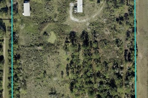Terrain à vendre à Bunnell, Floride № 2413876 - photo 3