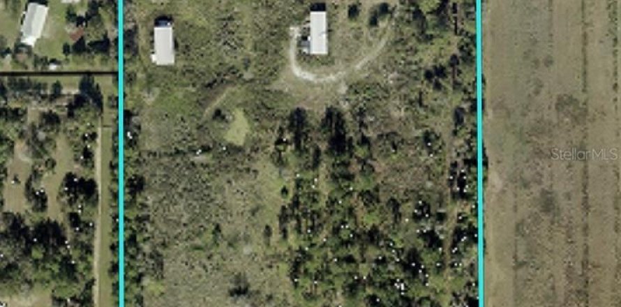 Terrain à Bunnell, Floride № 2413876