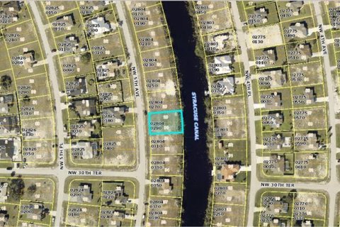 Land in Cape Coral, Florida № 2225925 - photo 3