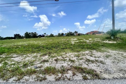 Land in Cape Coral, Florida № 2225925 - photo 2