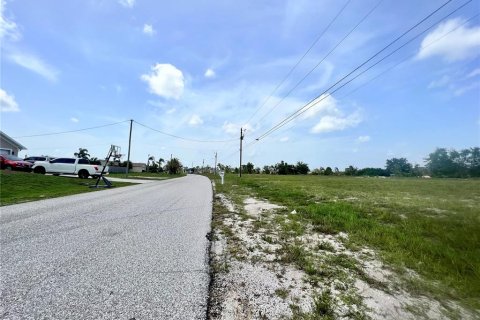 Land in Cape Coral, Florida № 2225925 - photo 5
