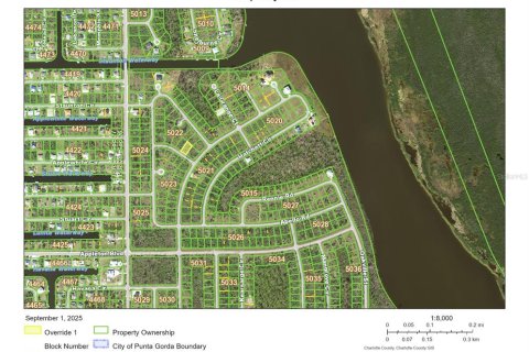 Land in Port Charlotte, Florida № 2163556 - photo 3