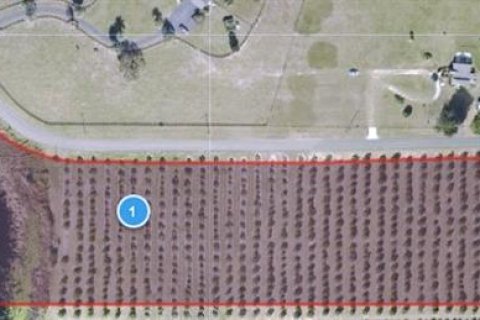 Terreno en venta en Umatilla, Florida № 953365 - foto 2