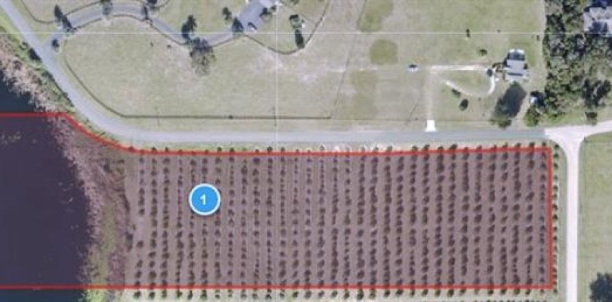 Terreno en Umatilla, Florida № 953365