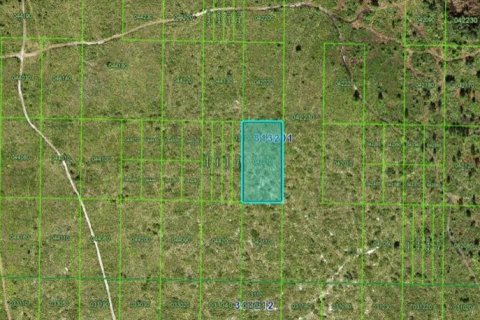Terreno en Frostproof, Florida № 2160618