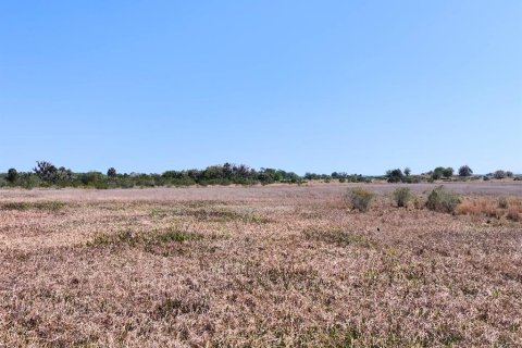 Land in Lake Placid, Florida № 1643032 - photo 17